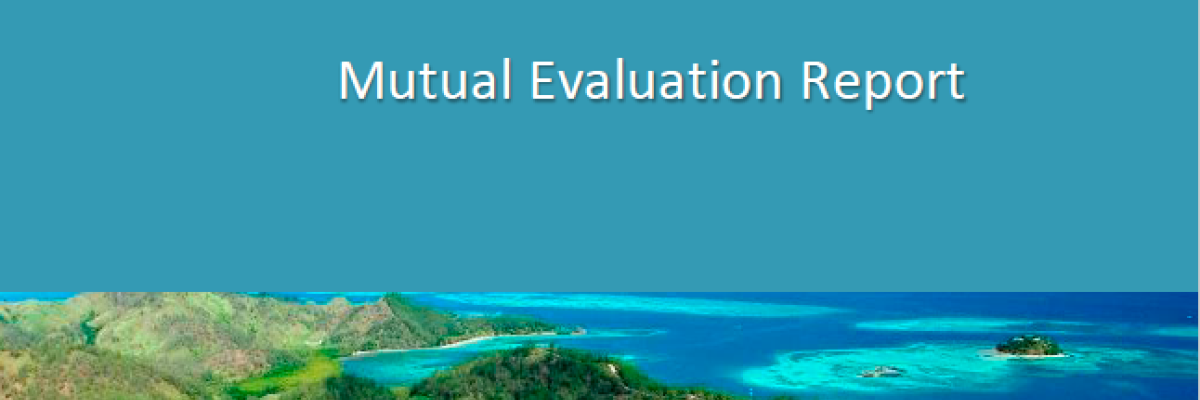 APG 3rd Round MER Cover