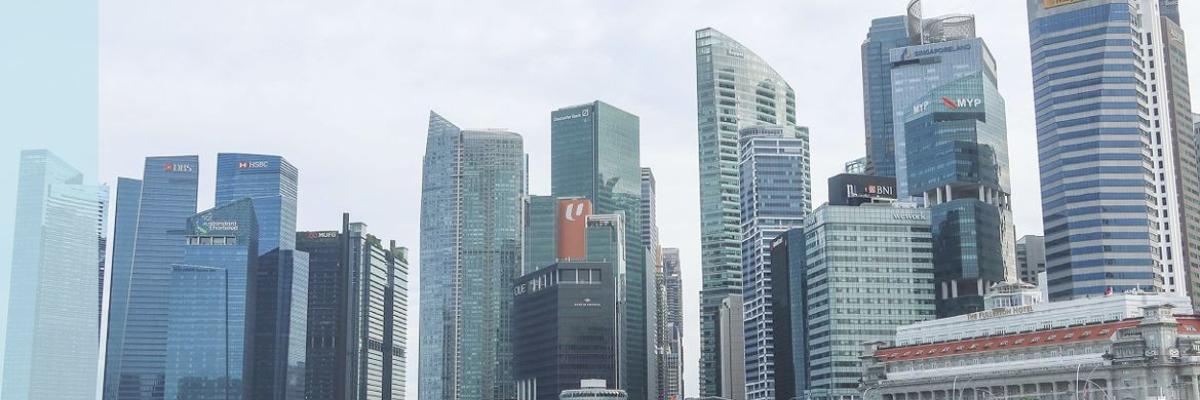 Mutual Evaluation of Singapore