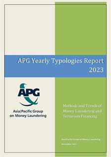 APG Typologies Reports